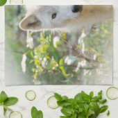 Grijze Wolf, Canadese dierenfotografie Theedoek (Gevouwen)