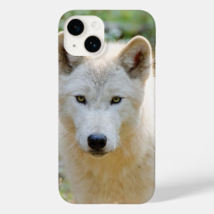 Grijze Wolf, Canadese Wildlife Fotografie Case-Mate iPhone 14 Hoesje