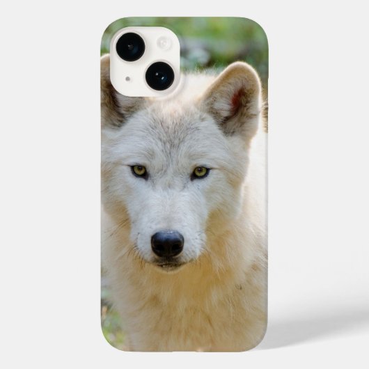 Grijze Wolf, Canadese Wildlife Fotografie Case-Mate iPhone Case (Achterkant)