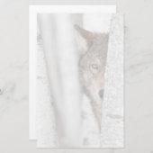 Grijze Wolf (Canis lupus) achter de boom Briefpapier (Voorkant / Achterkant)