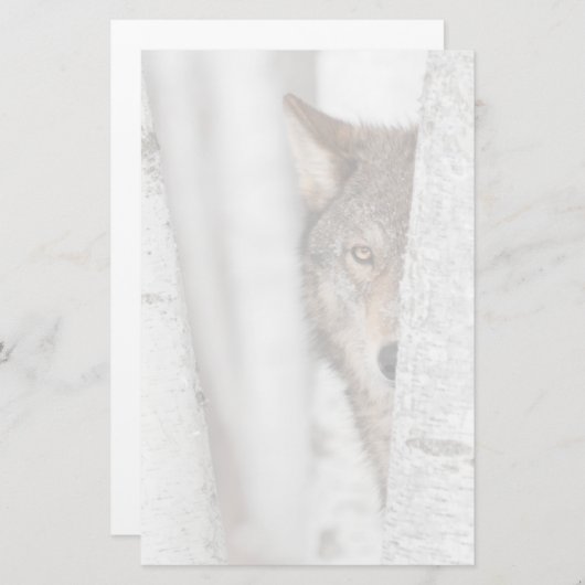 Grijze Wolf (Canis lupus) achter de boom Briefpapier (Voorkant / Achterkant)