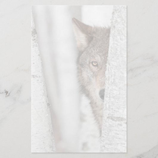 Grijze Wolf (Canis lupus) achter de boom Briefpapier (Voorkant)