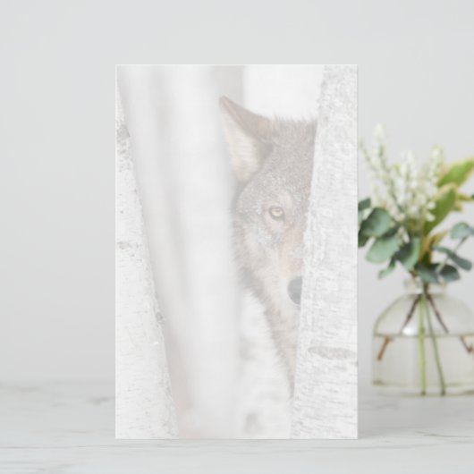 Grijze Wolf (Canis lupus) achter de boom Briefpapier (Staand voorkant)