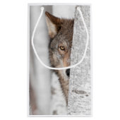 Grijze Wolf (Canis lupus) achter de boom Klein Cadeauzakje (Achterkant)