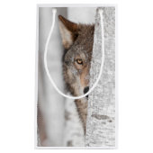 Grijze Wolf (Canis lupus) achter de boom Klein Cadeauzakje (Voorkant)