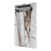 Grijze Wolf (Canis lupus) achter de boom Mini Klembord (Angled2)