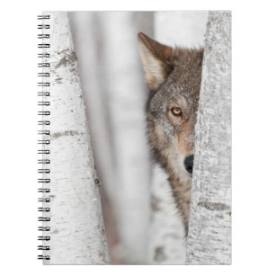Grijze Wolf (Canis lupus) achter de boom Notitieboek