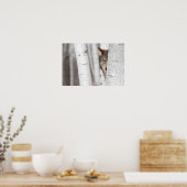 Grijze Wolf (Canis lupus) achter de boom Poster (Keuken)