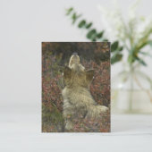 Grijze wolf (Canis lupus) Briefkaart (Staand voorkant)