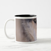 grijze wolf, Canis lupus, close-up van de ogen Tweekleurige Koffiemok (Links)