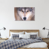 grijze wolf, Canis lupus, close-up van ogen Canvas Afdruk (Insitu (Slaapkamer))