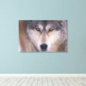 grijze wolf, Canis lupus, close-up van ogen Canvas Afdruk (Insitu (Houten vloer))
