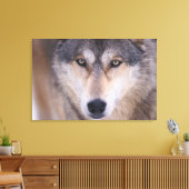 grijze wolf, Canis lupus, close-up van ogen Canvas Afdruk (Insitu (Woonkamer))