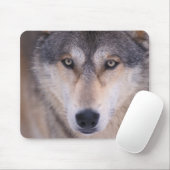 grijze wolf, Canis lupus, close-up van ogen Muismat (Met muis)