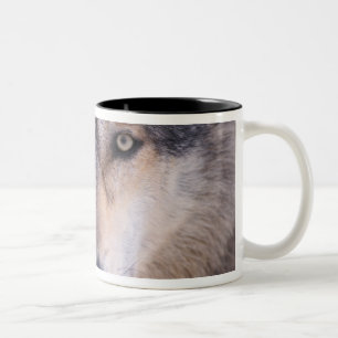grijze wolf, Canis lupus, close-up van ogen Tweekleurige Koffiemok