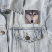 grijze wolf, Canis lupus, close-up van ogen Vierkante Button 5,1 Cm (In situ)