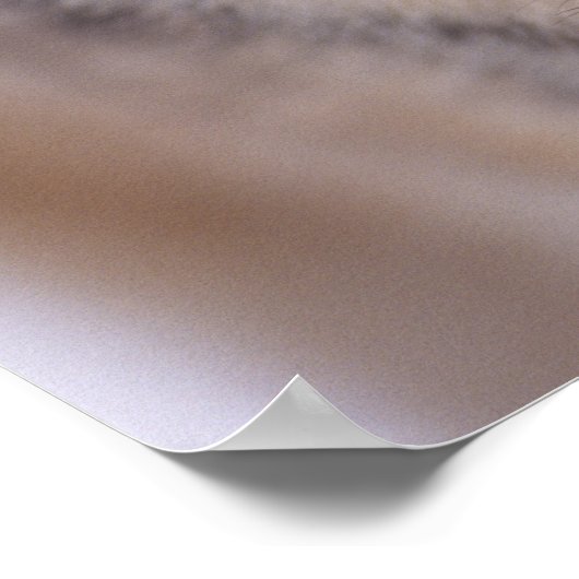 grijze wolf, Canis lupus, dicht bij de ogen Poster (Hoek)