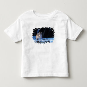 grijze wolf, Canis lupus, in de heuvels Kinder Shirts