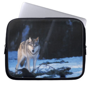 grijze wolf, Canis lupus, in de heuvels Laptop Sleeve