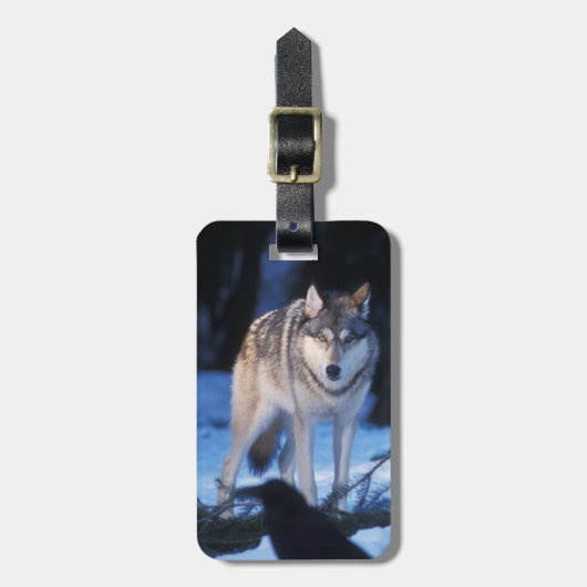 grijze wolf, Canis lupus, in de uitlopers Bagagelabel (Voorkant verticaal)