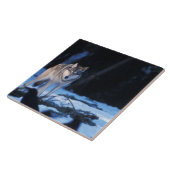 grijze wolf, Canis lupus, in de uitlopers Tegeltje (Zijkant)