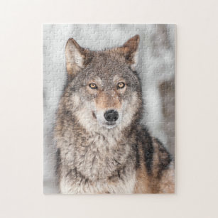 Grijze Wolf (Canis lupus) met één achterzijde Legpuzzel