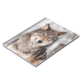 Grijze Wolf (Canis lupus) met één achterzijde Notitieboek (Linkerzijde)