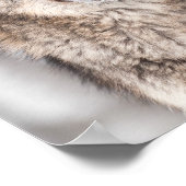 Grijze Wolf (Canis lupus) met één achterzijde Poster (Hoek)