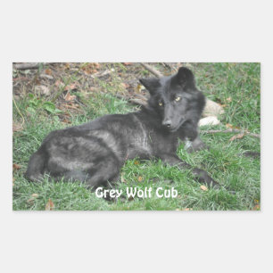 GRIJZE WOLF CUB Wildlife Supporter Stickers