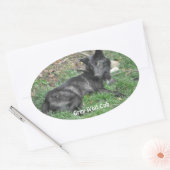 GRIJZE WOLF CUB Wildlife Supporter Stickers (Envelop)