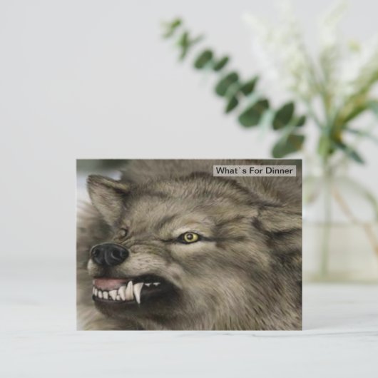 Grijze Wolf Dinner Time Briefkaart (Staand voorkant)