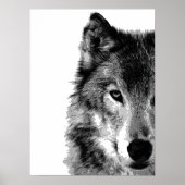 Grijze Wolf Eye Poster (Voorkant)