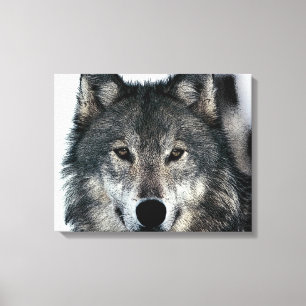 Grijze Wolf Eyes Wrapped Canvas Afdruk