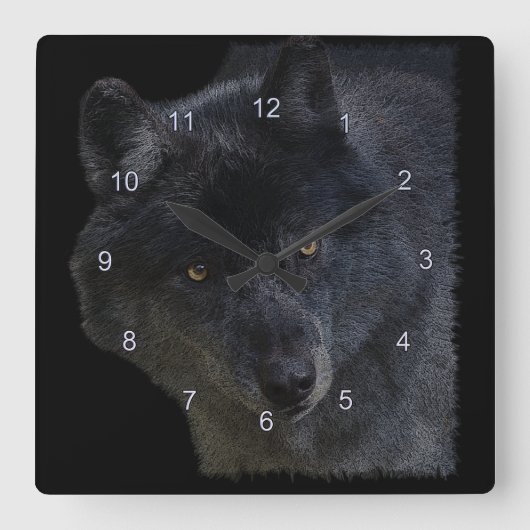 Grijze Wolf Gezicht Wildlife-Supporter Art Clock Vierkante Klok (Voorkant)