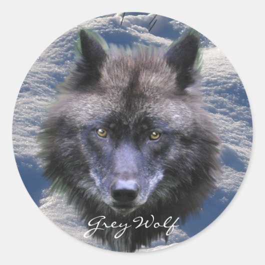 GRIJZE WOLF HOOFD & SNEEUW Wildlife Supporter Stic Ronde Sticker (Voorkant)