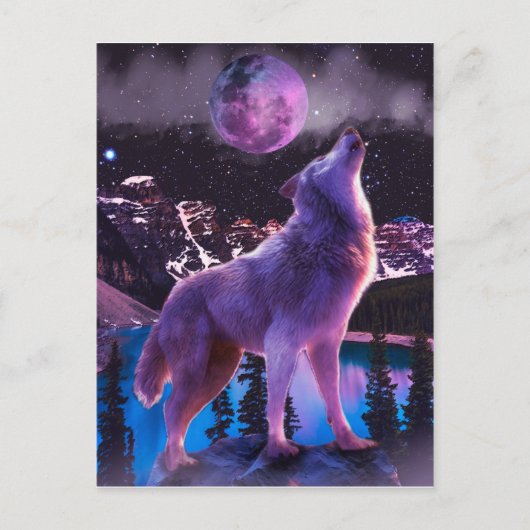 Grijze wolf in bos briefkaart (Voorkant)