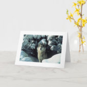 Grijze Wolf in de Kaart van de Foto van de Sneeuw (Gele Bloem)