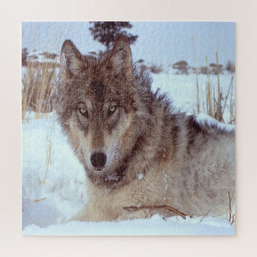 Grijze Wolf in de winter Legpuzzel (Verticaal)