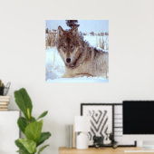 Grijze Wolf in de winter Poster (Thuiskantoor)