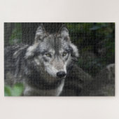 Grijze wolf in het wild legpuzzel (Horizontaal)