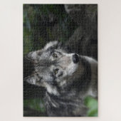Grijze wolf in het wild legpuzzel (Verticaal)