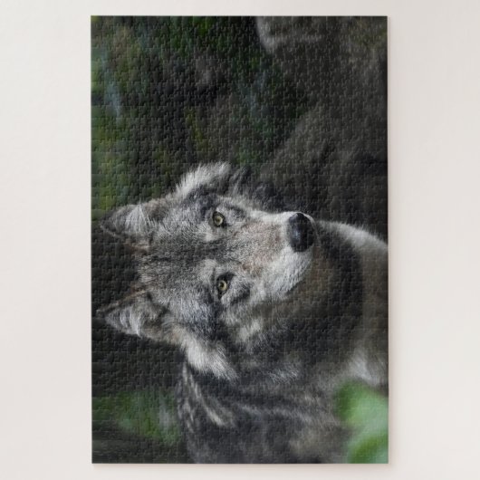 Grijze wolf in het wild legpuzzel (Verticaal)