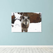 Grijze Wolf in sneeuw Canvas Afdruk (Insitu (Houten vloer))