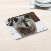 Grijze Wolf in sneeuw Kartonnen Onderzetters (Schuin)