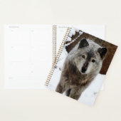Grijze Wolf in sneeuw Planner (Display)