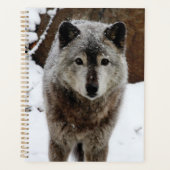Grijze Wolf in sneeuw Planner (Voorkant)
