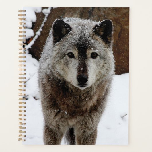 Grijze Wolf in sneeuw Planner (Voorkant)