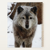 Grijze Wolf in sneeuw Planner (Achterkant)
