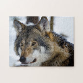 Grijze Wolf, Jigzaag Puzzle Legpuzzel (Horizontaal)