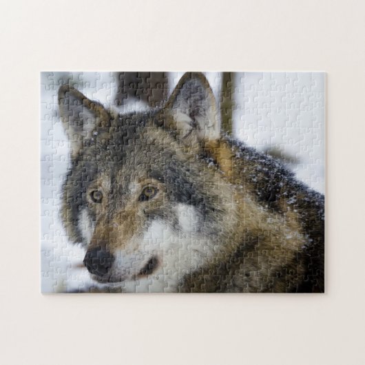 Grijze Wolf, Jigzaag Puzzle Legpuzzel (Horizontaal)